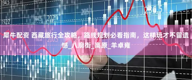 犀牛配资 西藏旅行全攻略，路线规划必看指南，这样玩才不留遗憾_八廓街_高原_羊卓雍