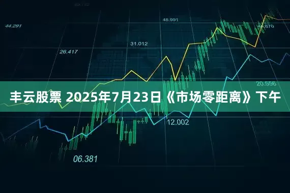 丰云股票 2025年7月23日《市场零距离》下午