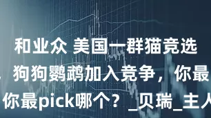 和业众 美国一群猫竞选“市长”，狗狗鹦鹉加入竞争，你最pick哪个？_贝瑞_主人_居民