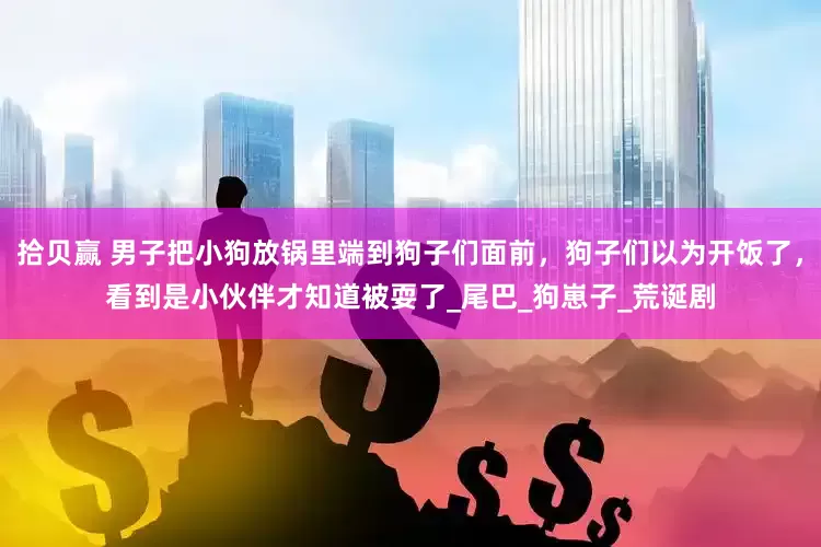 拾贝赢 男子把小狗放锅里端到狗子们面前，狗子们以为开饭了，看到是小伙伴才知道被耍了_尾巴_狗崽子_荒诞剧