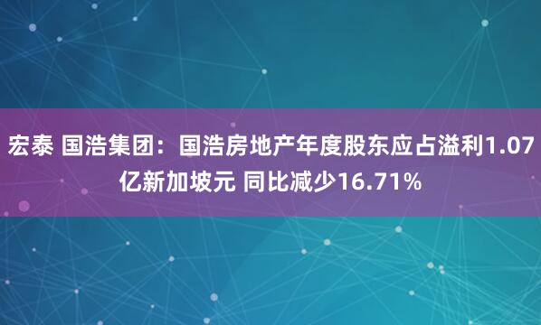 宏泰 国浩集团：国浩房地产年度股东应占溢利1.07亿新加坡元 同比减少16.71%